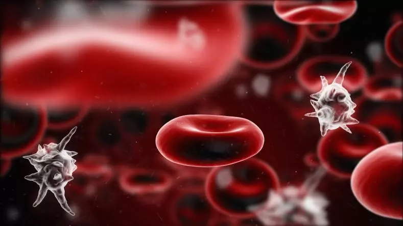 сколько в организме держится наркотическое