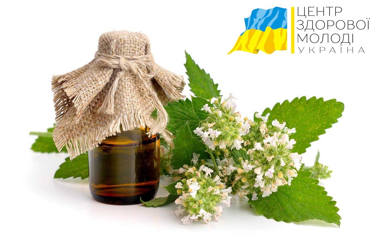 лечение алкоголизма народными методами